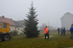 Příprava vánočního stromu 2016